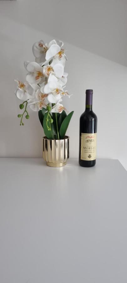 Apartament Hugo Old Town Belgrad Zewnętrze zdjęcie