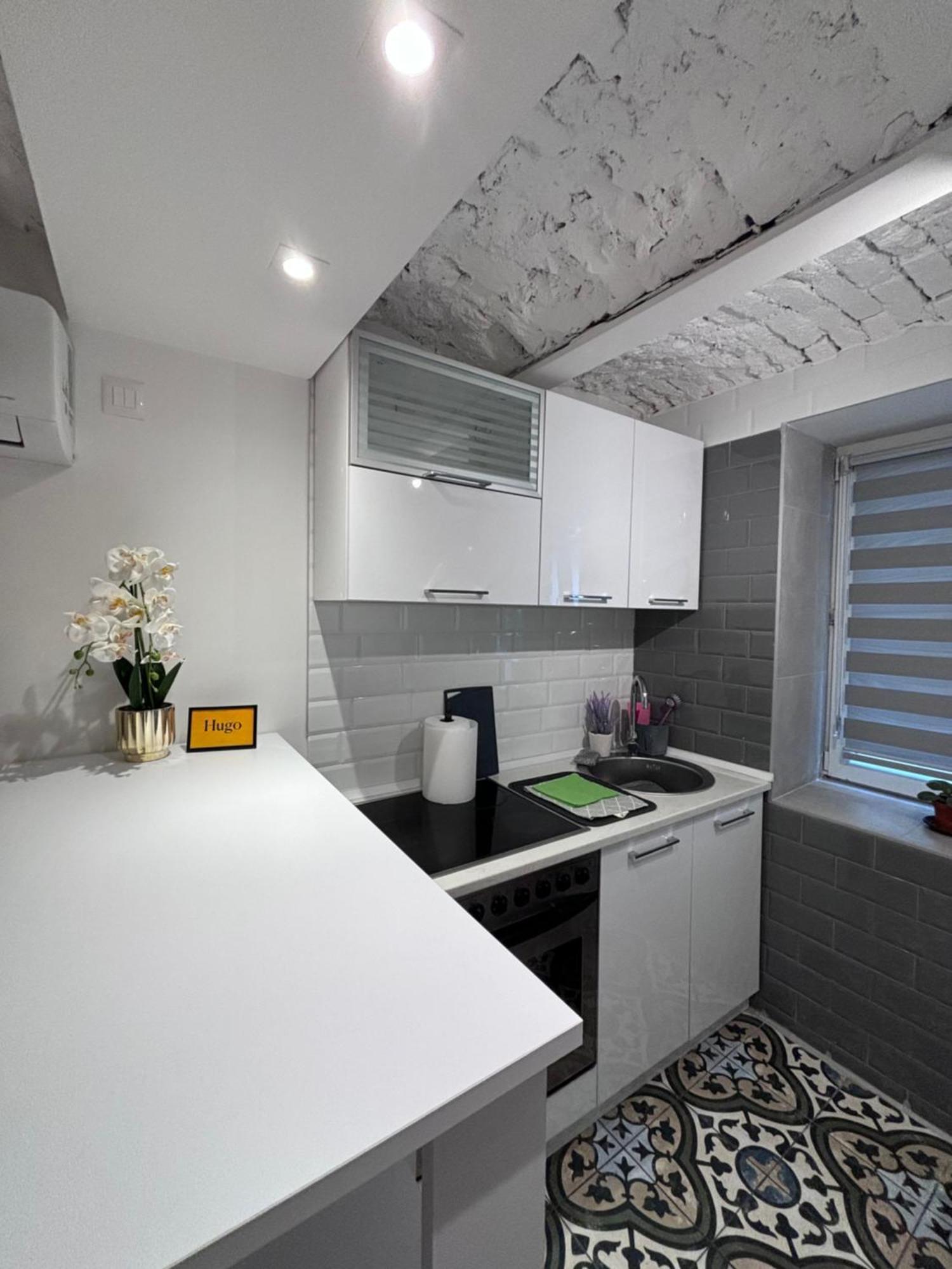 Apartament Hugo Old Town Belgrad Zewnętrze zdjęcie